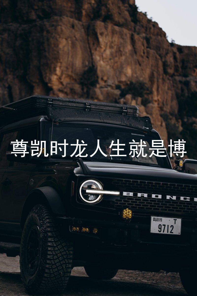 尊凯时龙人生就是博